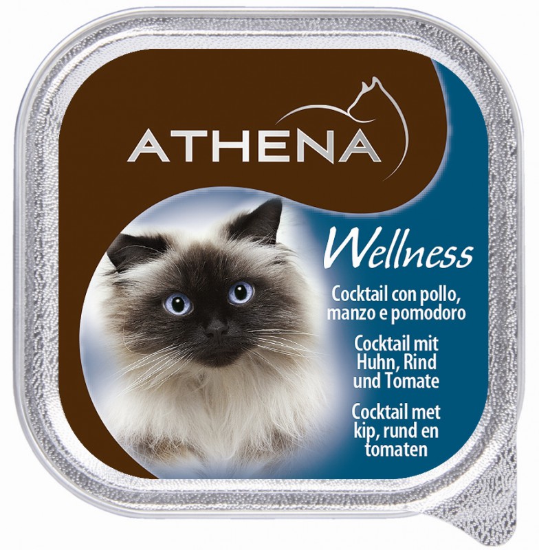 Athena -אטנה  שימורים איכותים לחתול 100 גרם